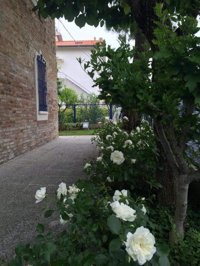 Bellocchi La Casa Della Cicogna Una Casa Al Mare Ideale Anche Per Gli Impegni Di Lavoro O Studio 빌라 외부 사진